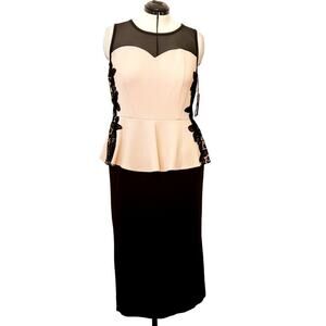 Thalia Sodi Pink & Black Lace Peplum Sleeveless Top and Kasper Black Skirt